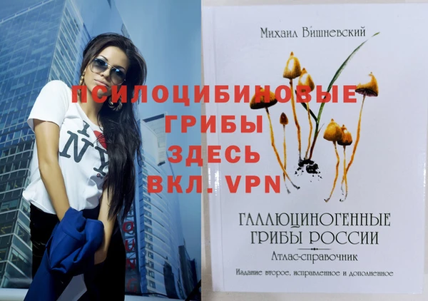 кокаин Богородицк