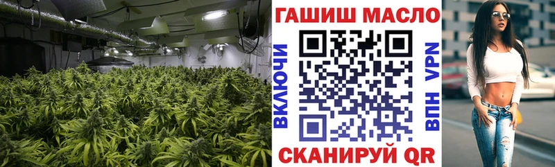 Дистиллят ТГК концентрат где купить наркоту маркетплейс Telegram Волосово